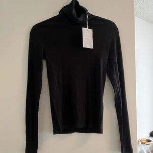 Everlane The Luxe Rib Turtleneck
